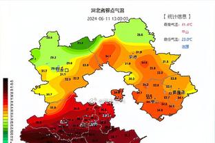 贝肯鲍尔与克鲁伊夫？同样的手势，同样的领袖！